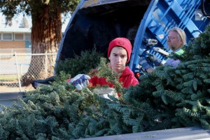 Christmas Tree Recycling 0019
