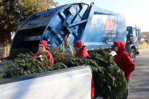Christmas Tree Recycling 0020