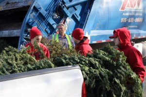 Christmas Tree Recycling 0021