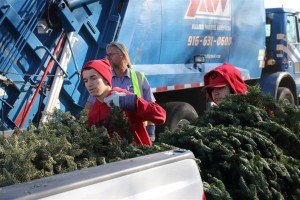 Christmas Tree Recycling 0022