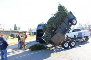 Christmas Tree Recycling 0025