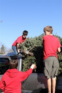 Christmas Tree Recycling 0027