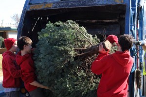 Christmas Tree Recycling 0043