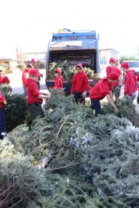Christmas Tree Recycling 0052