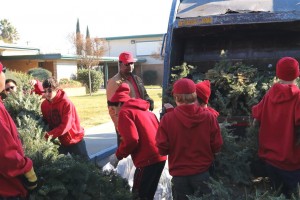 Christmas Tree Recycling 0053