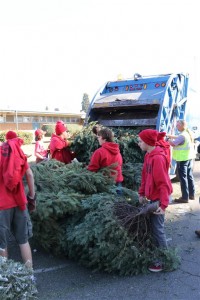 Christmas Tree Recycling 0057