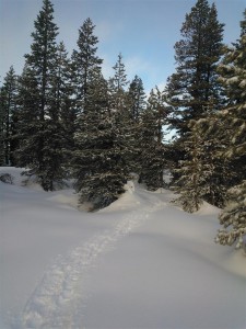 Snow Backpacking 0036