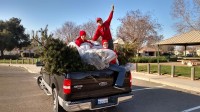 Christmas Tree Recycling 0010