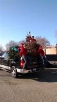 Christmas Tree Recycling 0013