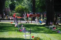 Fair Oaks Cemetery-Avenue of Flags 0087