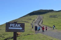 Mission Peak Hike 0023