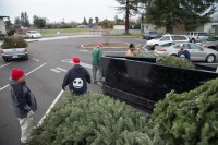 Christmas Tree Recycling 0023 (2)