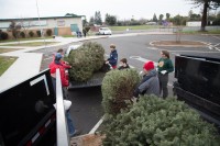 Christmas Tree Recycling 0026 (2)