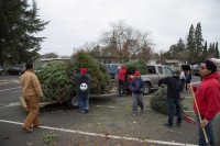 Christmas Tree Recycling 0031 (2)