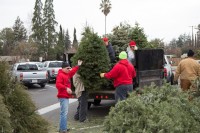 Christmas Tree Recycling 0033 (2)