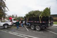 Christmas Tree Recycling 0040 (2)