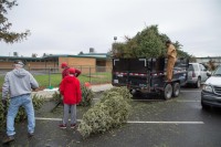Christmas Tree Recycling 0043