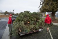 Christmas Tree Recycling 0050