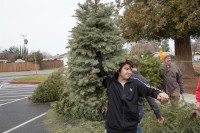Christmas Tree Recycling 0053