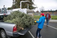 Christmas Tree Recycling December 0014