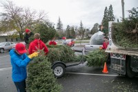 Christmas Tree Recycling December 0017