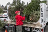 Christmas Tree Recycling December 0018