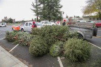 Christmas Tree Recycling December 0020