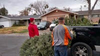 Christmas Tree Recycling December 0033
