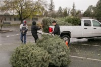 Christmas Tree Recycling December0024