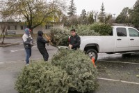 Christmas Tree Recycling December0025