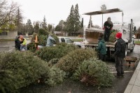 Christmas Tree Recycling December0031