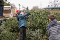 Christmas Tree Recycling December0034